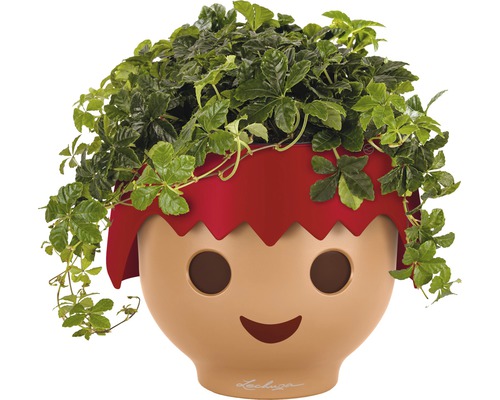 Pot de fleurs Lechuza avec plante verte en forme de visage