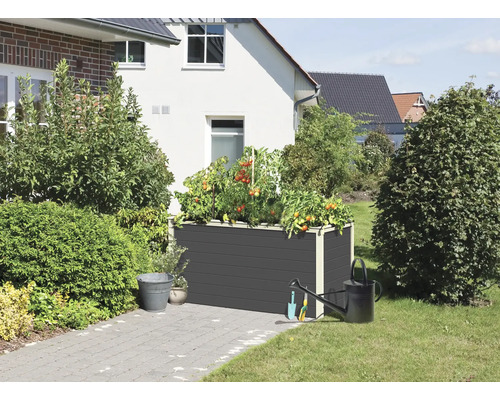 Jardinière surélevée avec des plants de tomates, un arrosoir et des outils de jardinage dans le jardin