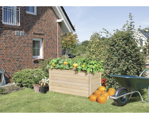 Jardinière en bois avec des potirons et des plantes de courge dans le jardin devant une maison
