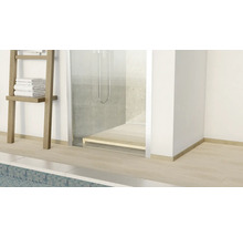 Vue d''une salle de bain avec douche, échelle à serviettes et carrelage