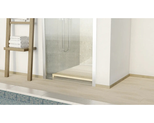 Vue d''une salle de bain avec douche, échelle à serviettes et carrelage