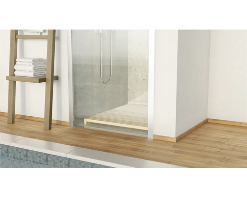 Badezimmer mit Dusche, Handtuchhalter und Holzboden