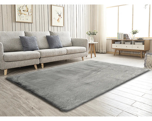 Wohnzimmer mit grauem Teppich, Sofa, Tisch und Kommode