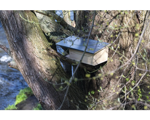 Fledermauskasten an einem Baumstamm montiert