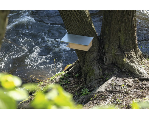 Holz-Futterhaus mit Metalldach am Baum neben einem Fluss