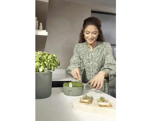 Femme coupant des herbes aromatiques dans un jardin d''herbes aromatiques dans la cuisine