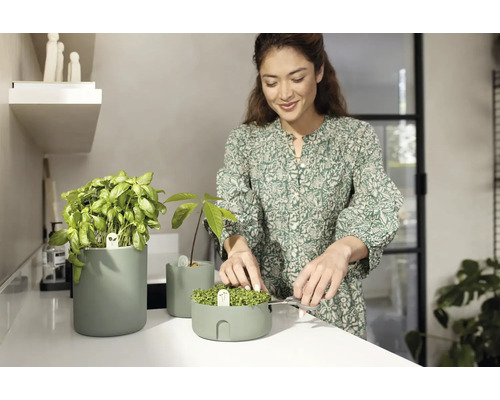 Femme coupant des herbes aromatiques dans un pot à herbes aromatiques sur un comptoir de cuisine.