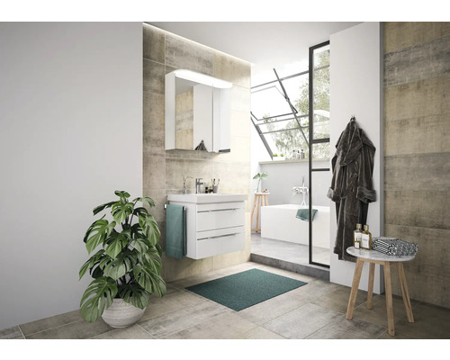 Salle de bain lumineuse avec meuble-lavabo, armoire de toilette et plante d''intérieur