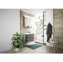 Salle de bains avec meuble-lavabo, armoire de toilette, baignoire et plante d''intérieur