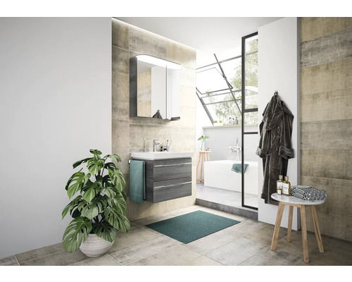 Salle de bains avec meuble-lavabo, armoire de toilette, baignoire et plante d''intérieur