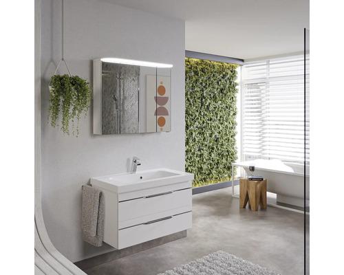 Salle de bains avec meuble sous-lavabo, armoire de toilette, plante suspendue et baignoire