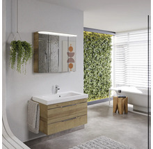 Salle de bains lumineuse avec meuble sous-lavabo, armoire de toilette, baignoire et mur végétal pour une atmosphère conviviale.