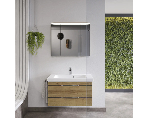 Ensemble de meuble-lavabo de salle de bains avec armoire de toilette à miroir et deux tiroirs