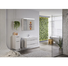 Helles Badezimmer mit Waschbeckenunterschrank, Spiegelschrank und Pflanzenwand