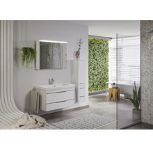 Salle de bains moderne avec meuble sous-vasque, armoire de toilette, armoire haute et plantes vertes