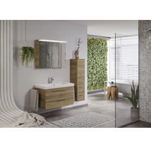 Salle de bain lumineuse avec meuble-lavabo, armoire de toilette, armoire haute et jardin vertical.