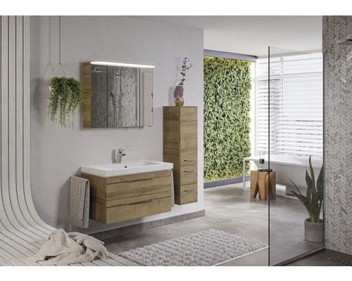 Salle de bain lumineuse avec meuble-lavabo, armoire de toilette, armoire haute et jardin vertical.