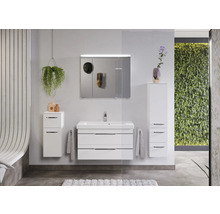 Modernes Badezimmer mit weissem Waschtisch, Spiegelschrank, Hängeschrank und hängender Pflanze.