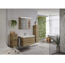 Salle de bain moderne avec lavabo, armoire de toilette et armoire haute aspect bois et jardin vertical
