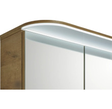 Vue détaillée d''une armoire de toilette avec éclairage et décor en bois