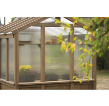 Serre avec plantes et pots sur étagères