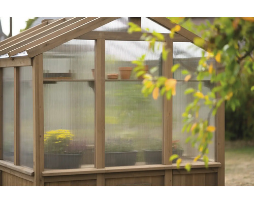 Serre avec plantes et pots sur étagères