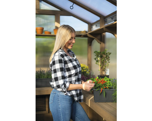 Femme récoltant des piments dans une serre avec cadre en bois et étagères