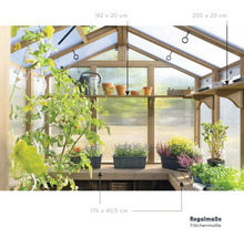 Aménagement intérieur d''une serre avec des étagères, des plantes et des accessoires de jardinage