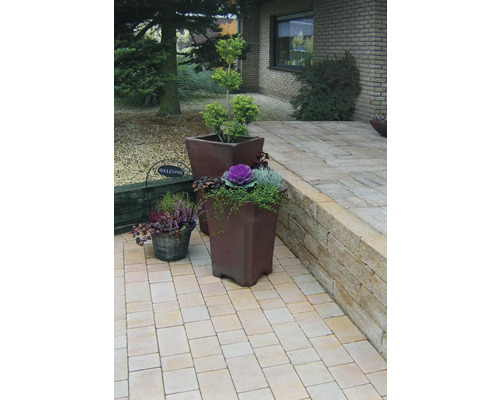 Chemin pavé avec des pavés, des pots de fleurs et des plantes devant une maison.