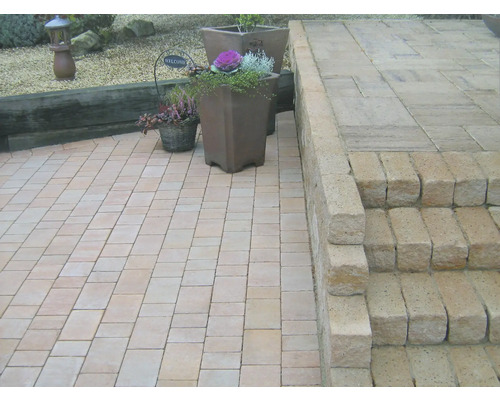Terrasse pavée avec escalier et pots de fleurs