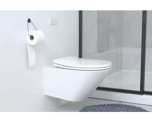 Modernes Badezimmer mit Wand-WC, Toilettenpapierhalter und Dusche