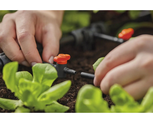 Une personne installe un système d''irrigation pour les plantes dans le jardin.