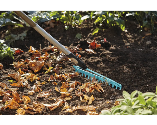 Jardin avec des feuilles et un balai à gazon
