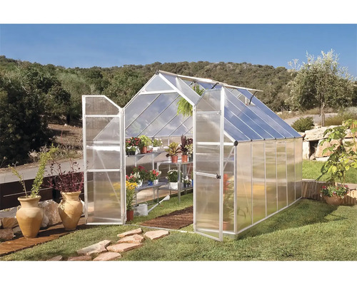 Serre avec portes ouvertes et étagères à plantes dans le jardin.