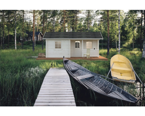 Maison de jardin en bois avec bateau au bord du lac