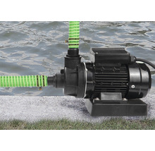 Gartenpumpe mit grünem Schlauch am Wasser
