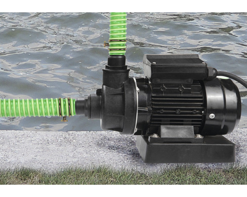 Pompe de jardin avec tuyau vert au bord de l''eau