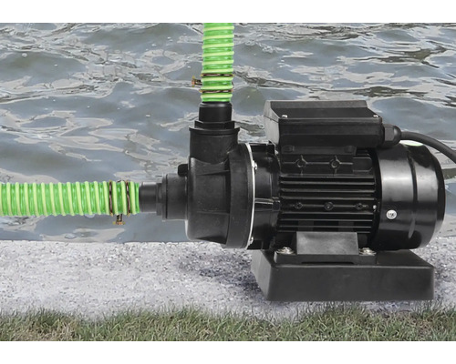 Pompe de jardin avec tuyau raccordé au bord du lac