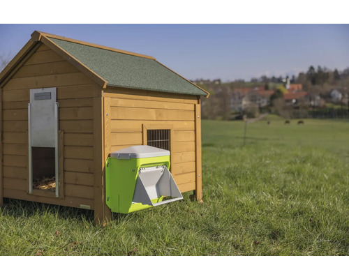 Hühnerstall mit automatischem Futterspender auf einer Wiese