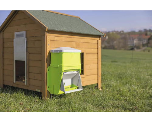 Hühnerstall mit Futterautomat im Aussenbereich