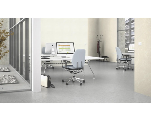 Bureau avec bureaux, chaises de bureau et ordinateurs dans un espace de travail moderne.