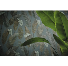 Papier peint avec motif de feuilles tropicales