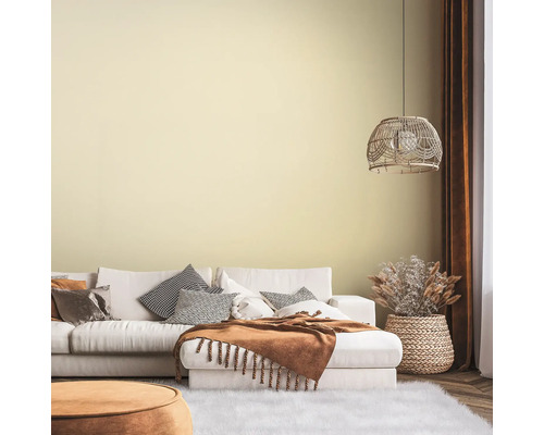 Salon avec canapé, coussins, couverture et décoration