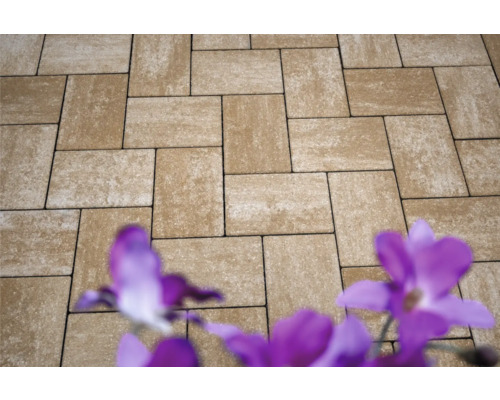 Pavés rectangulaires sur une terrasse