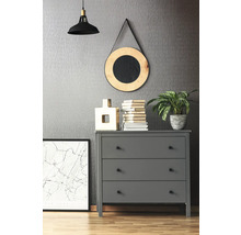 Commode grise à trois tiroirs, lampe, miroir, décorations et plantes dans une pièce