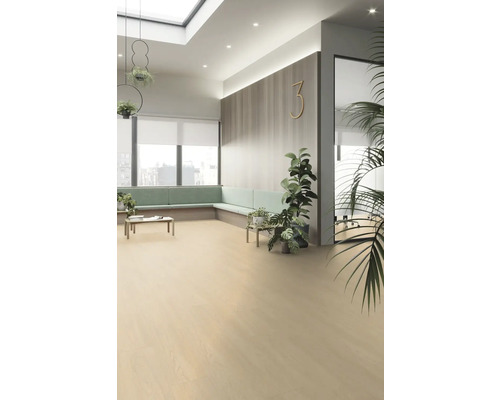 Pièce lumineuse avec plancher en bois, coin salon et plantes d''intérieur