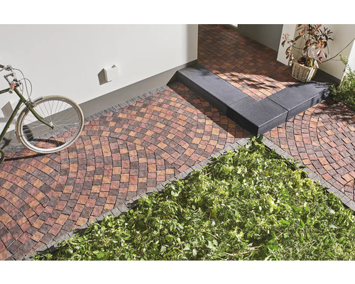 Espace extérieur pavé avec vélo, escalier et plantation