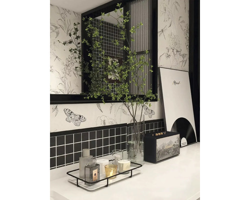 Salle de bains avec plantes, décorations, un haut-parleur et une étagère