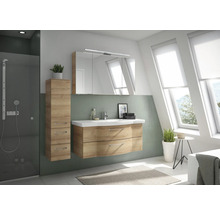 Badezimmer mit Waschtisch, Spiegelschrank, Hochschrank und Dusche