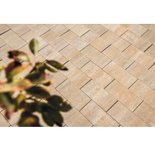 Dalle de terrasse en béton iStone Alive grès 40 x 20 x 4 cm